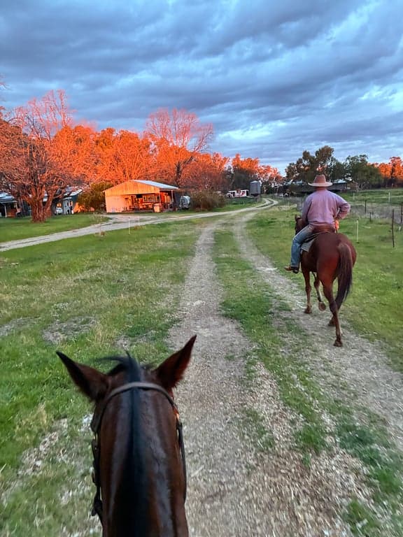 Farm stay with no horses, in our rustic Huntly Hut, Harparary, NSW (photo 7)