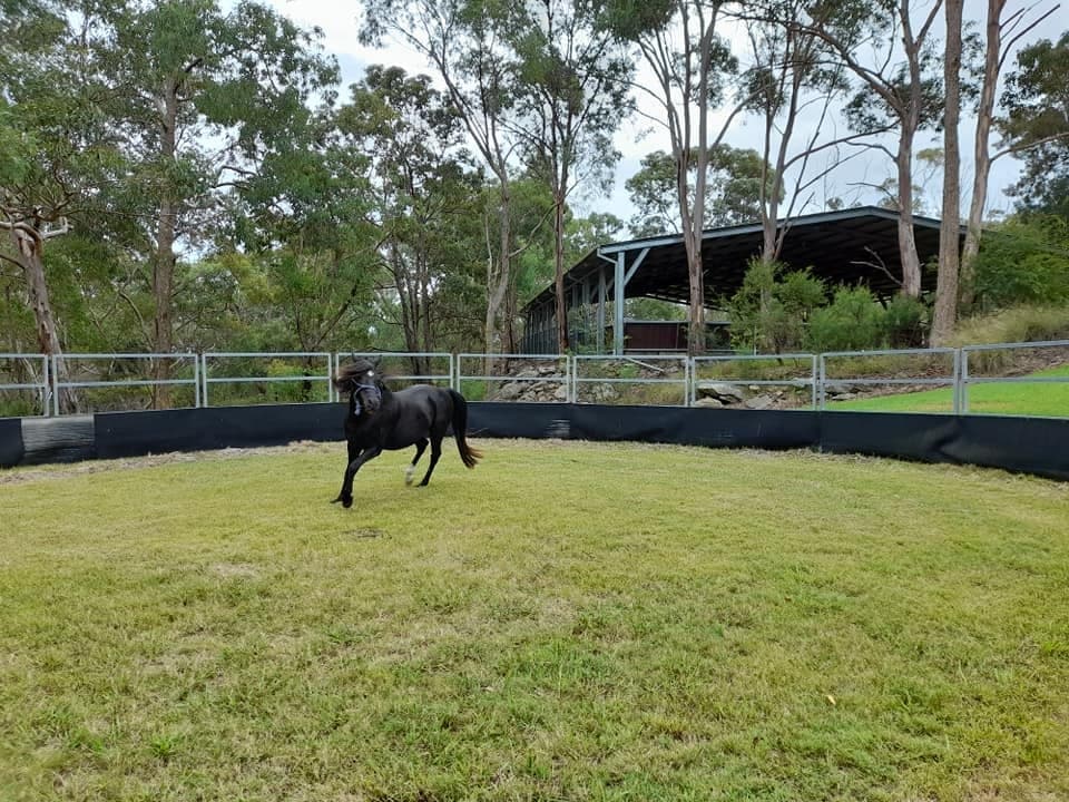 Farm Stay at Stunning Gracelands Equestrian Glenorie - Short Term Stay (photo 4)
