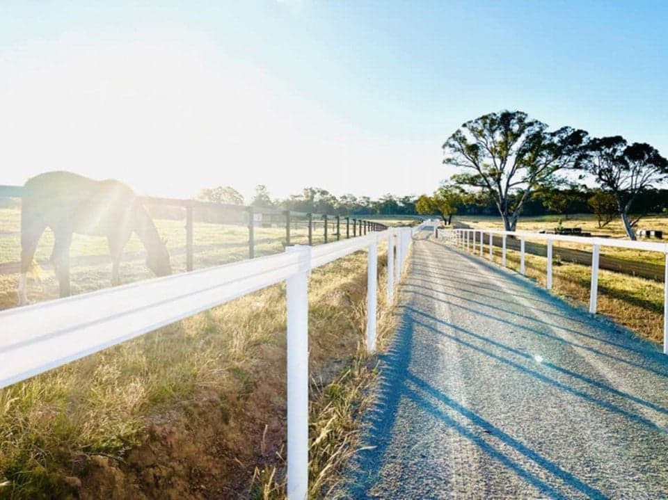 Thumbnail 10 of Entire House, Large Pool Bar and 250 acre Horse Farm