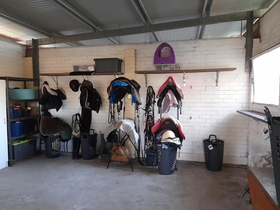 Farm Stay at Stunning Gracelands Equestrian Glenorie - Short Term Stay (photo 7)