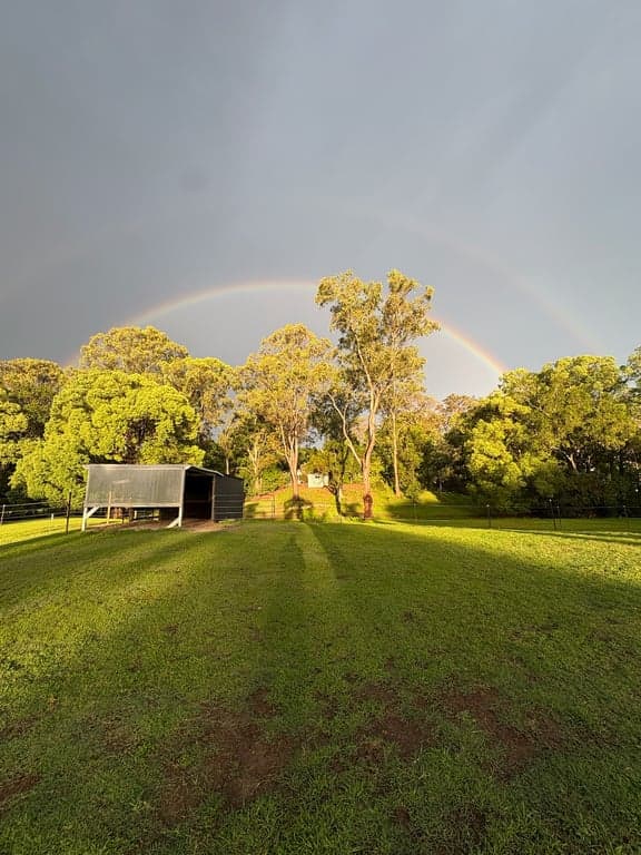 Thumbnail 2 of Ubuntu Horse & Farm Stay in Tallebudgera