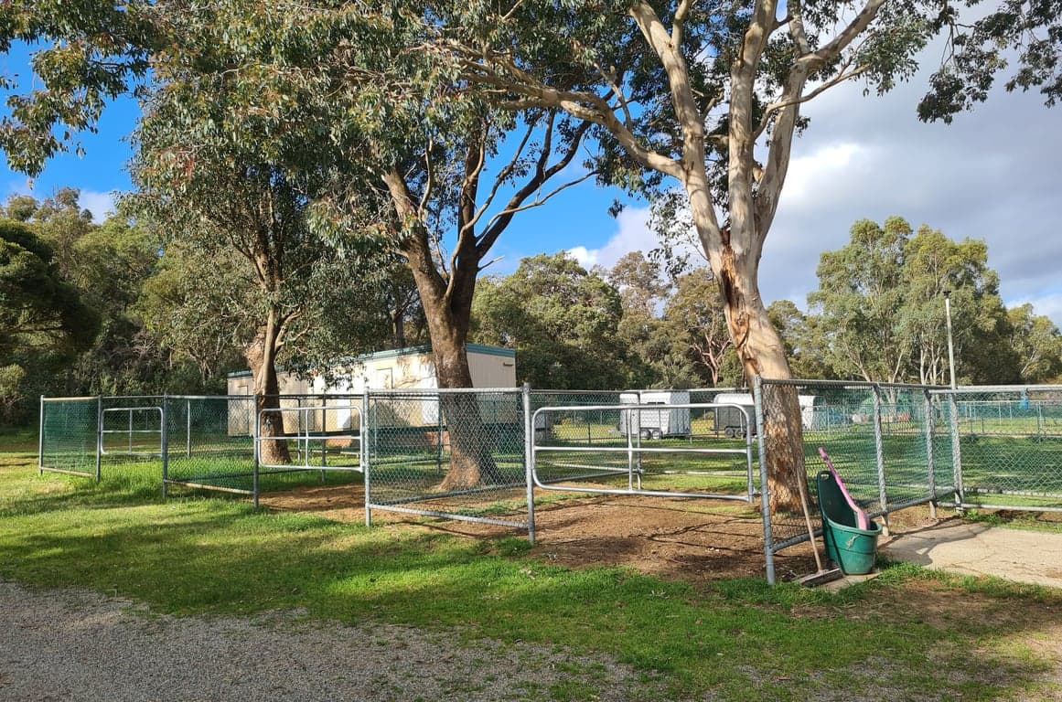 Thumbnail 6 of Equestrian 5 star horse riding facility.