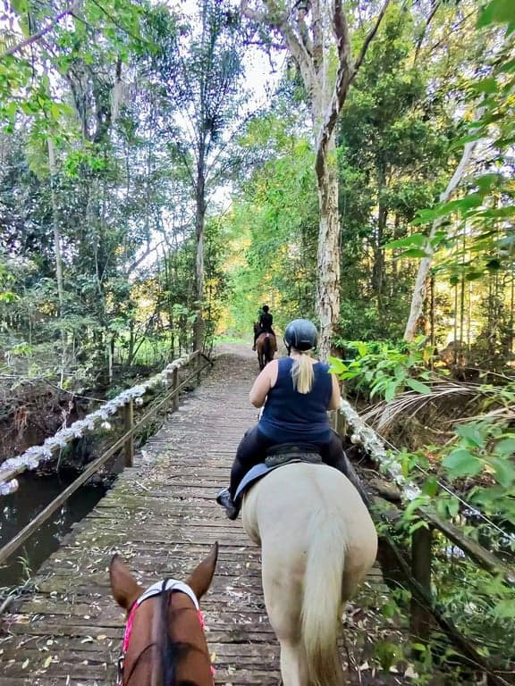 Horse Agistment at Private paddock available NOW for 1 horse, Forest Glen, QLD (photo 5)