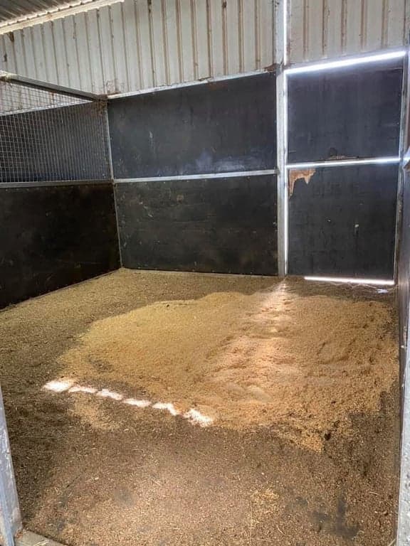Vellara equine full board agistment, Murrumbateman, NSW (photo 3)