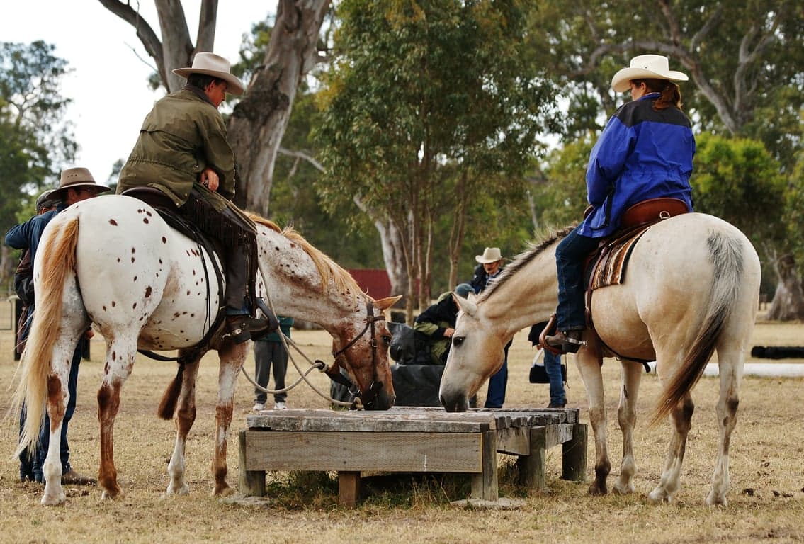 Thumbnail 5 of Holiday with your horse! Accomodation option #1