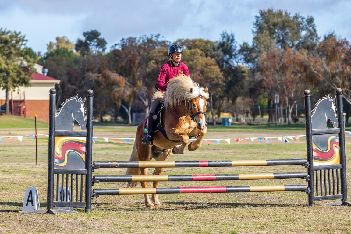 Thumbnail 9 of Equestrian facilities for lessons, clinics or short stays
