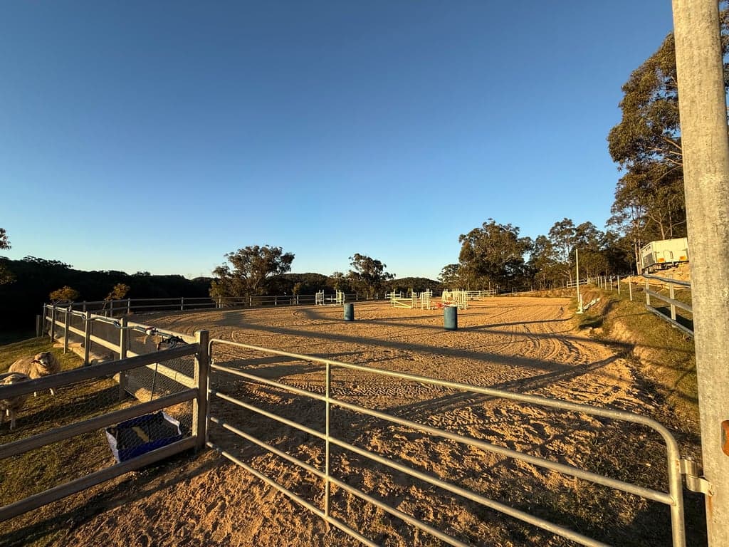 Ride Jump Train, Awaba, NSW (photo 3)