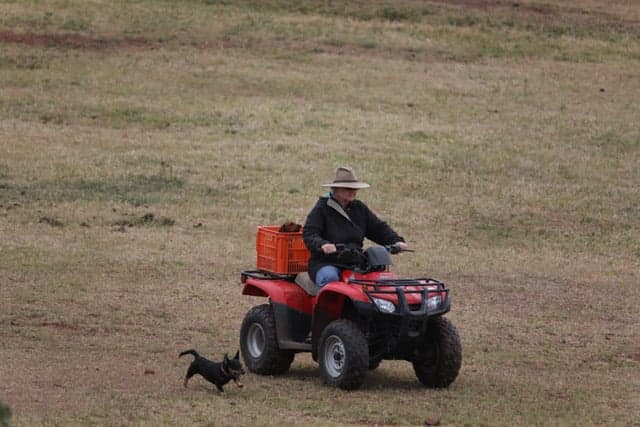 Thumbnail 10 of Bring your own horse, access to wonderful trail rides