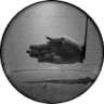 Host profile picture