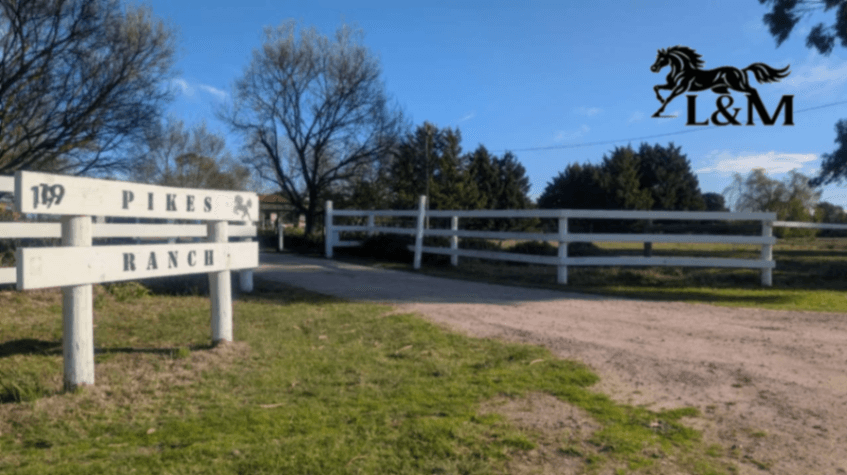 Photo of PIKES RANCH Quality horse agistment on the Mornington peninsula