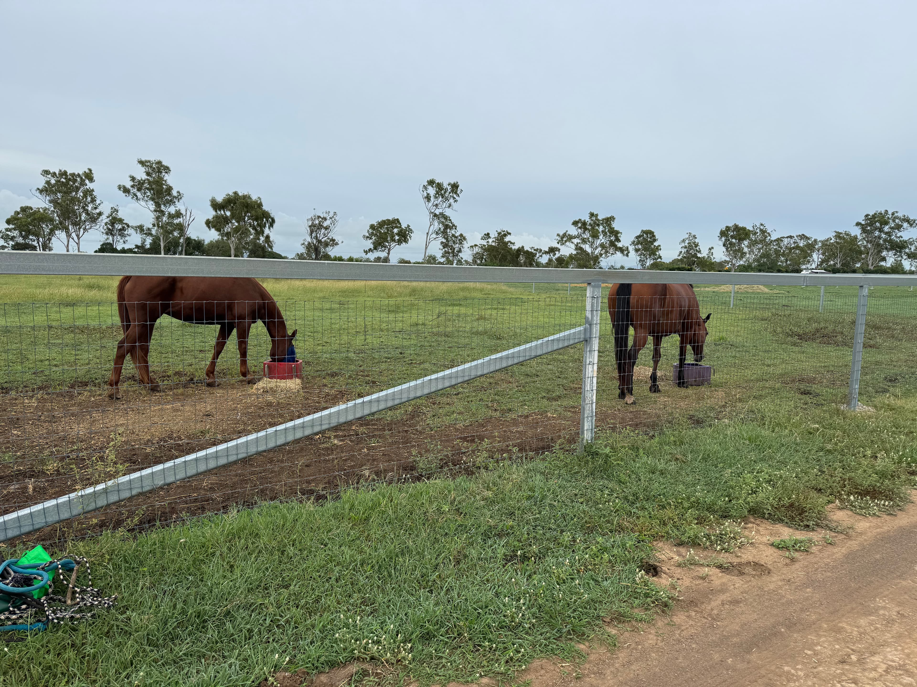 Photo of KA Agistment & Equine Services Pty Ltd