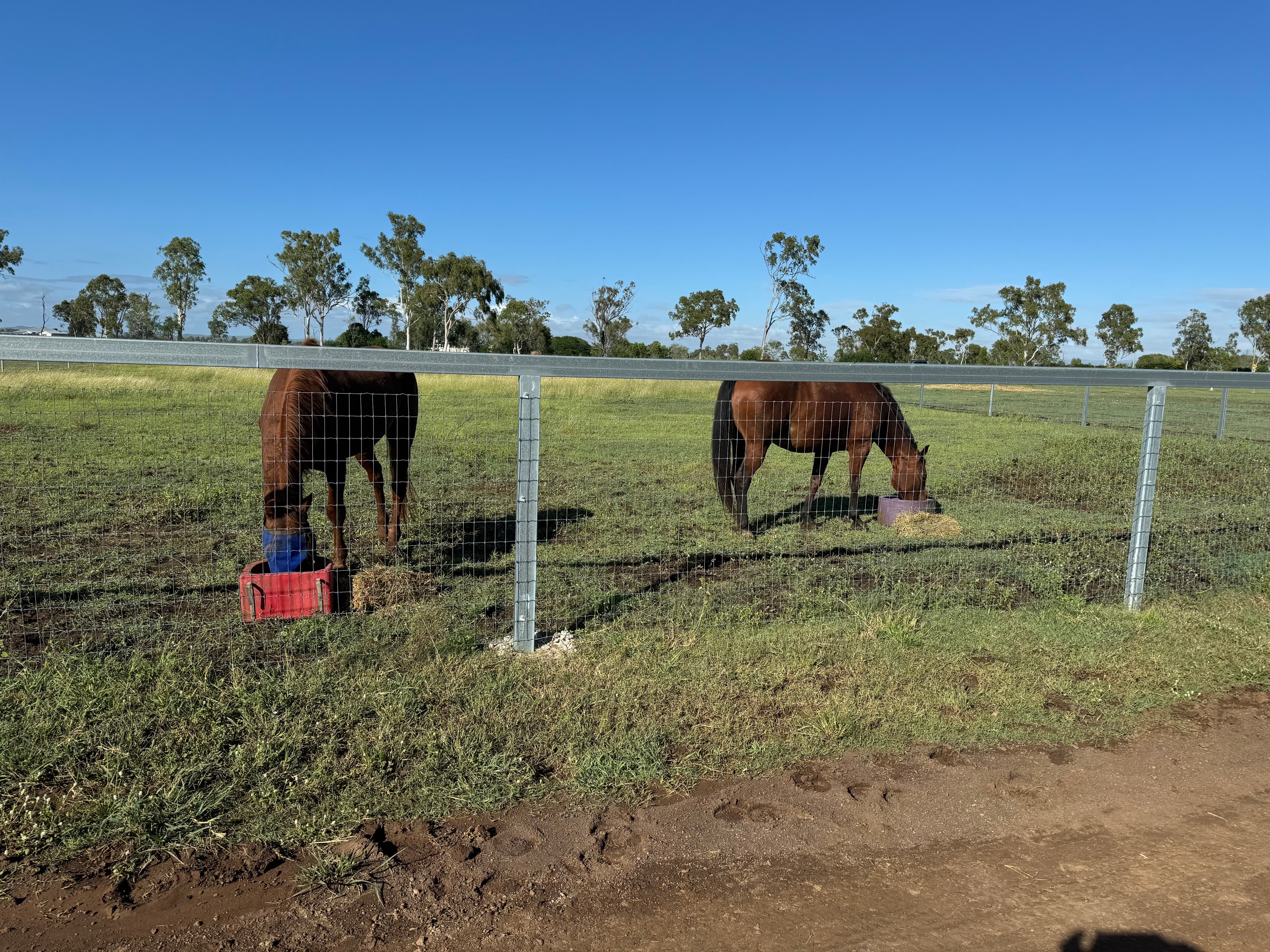 Thumbnail 2 of KA Agistment & Equine Services Pty Ltd