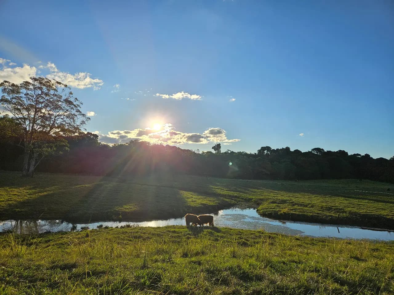 Photo of Bloodwood Farm