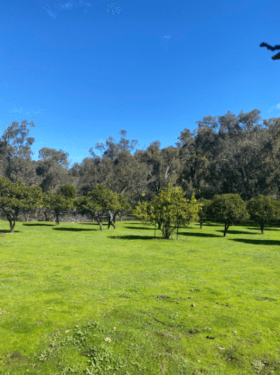 Thumbnail 2 of Mambray Park