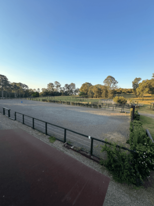 Photo of The Brumby Project