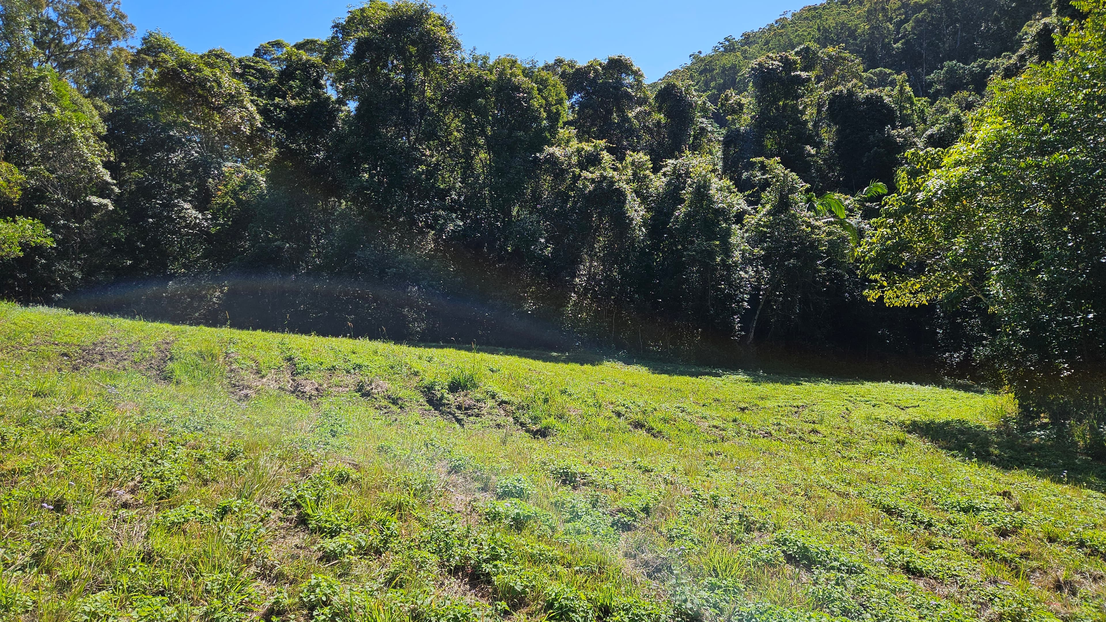 Thumbnail 4 of Short-Term Horse Agistment Ninderry, Sunshine Coast $60/week for paddock