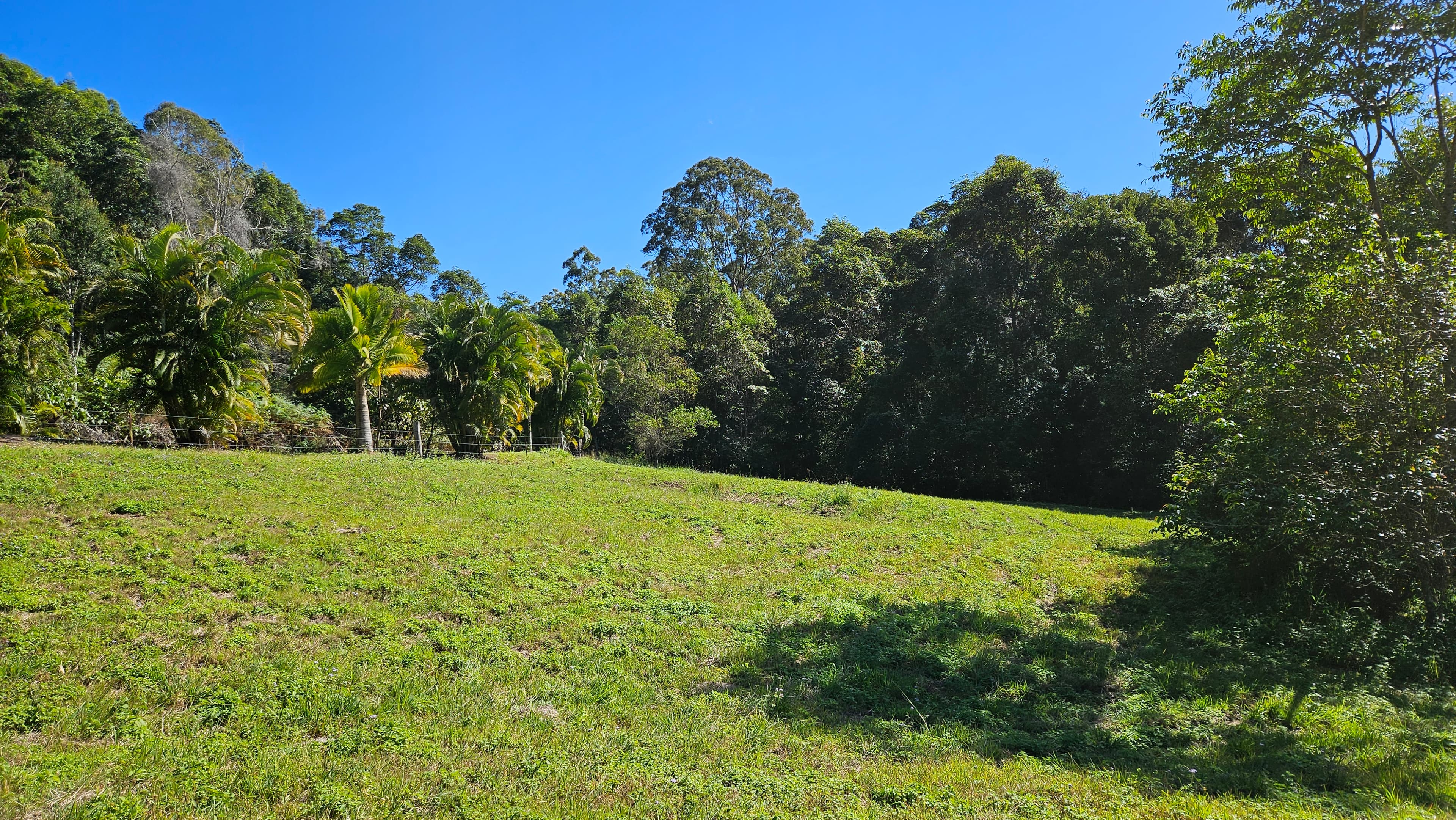 Thumbnail 3 of Short-Term Horse Agistment Ninderry, Sunshine Coast $60/week for paddock