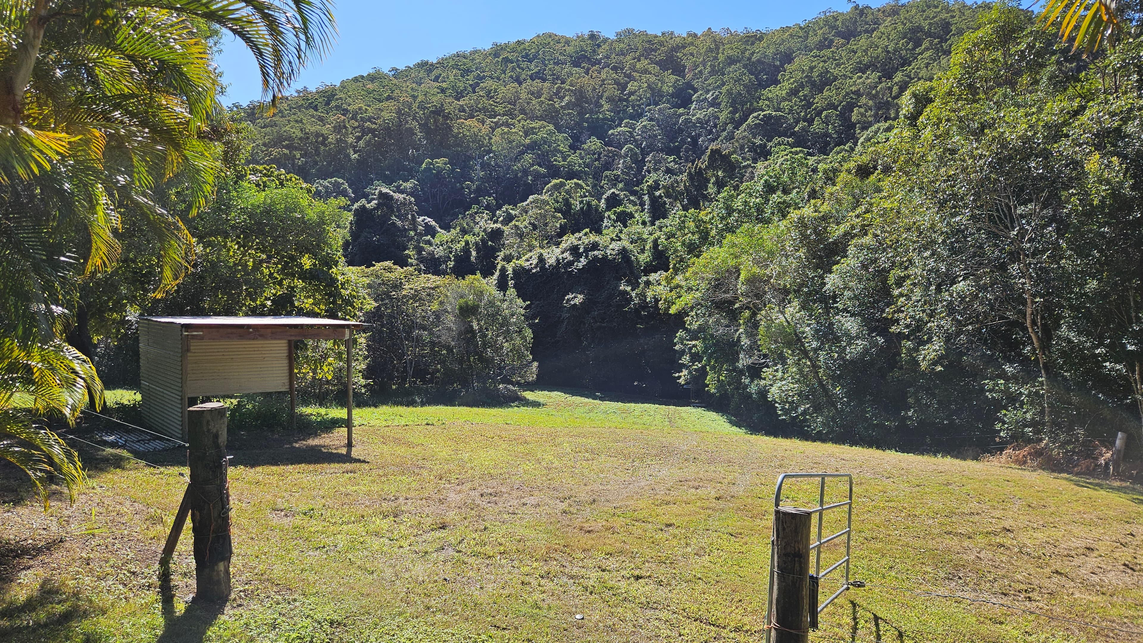 Photo of Short-Term Horse Agistment Ninderry, Sunshine Coast $60/week for paddock