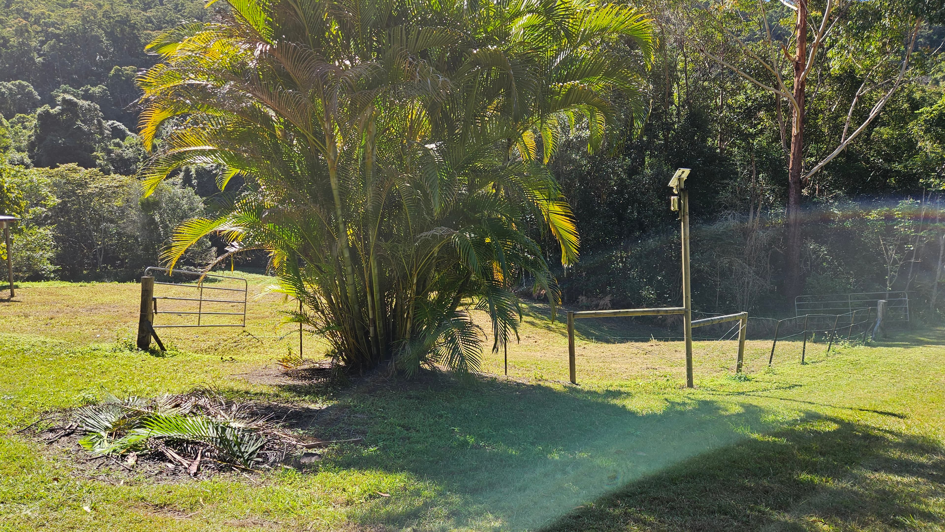 Thumbnail 2 of Short-Term Horse Agistment Ninderry, Sunshine Coast $60/week for paddock
