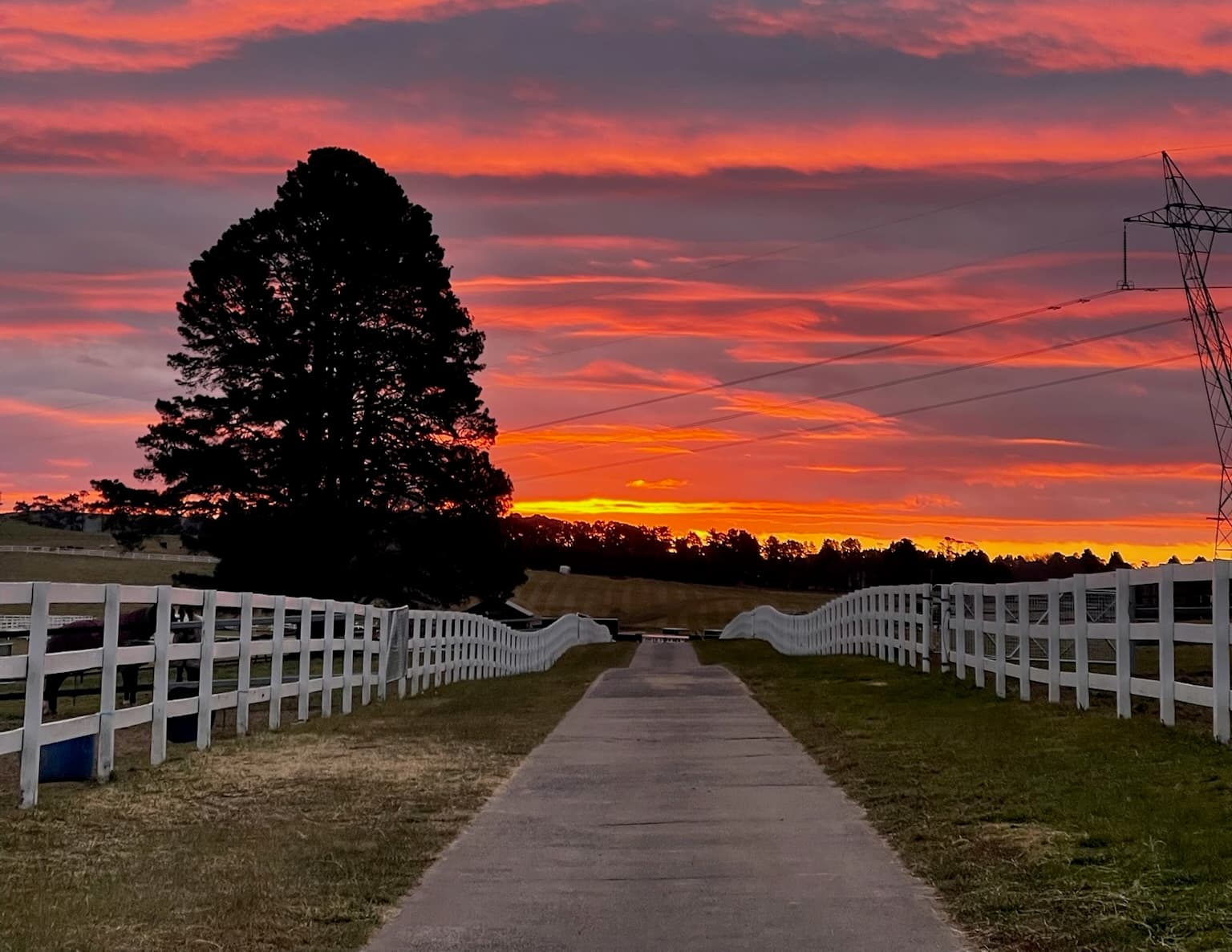 Thumbnail 4 of Heartland Horse Farm