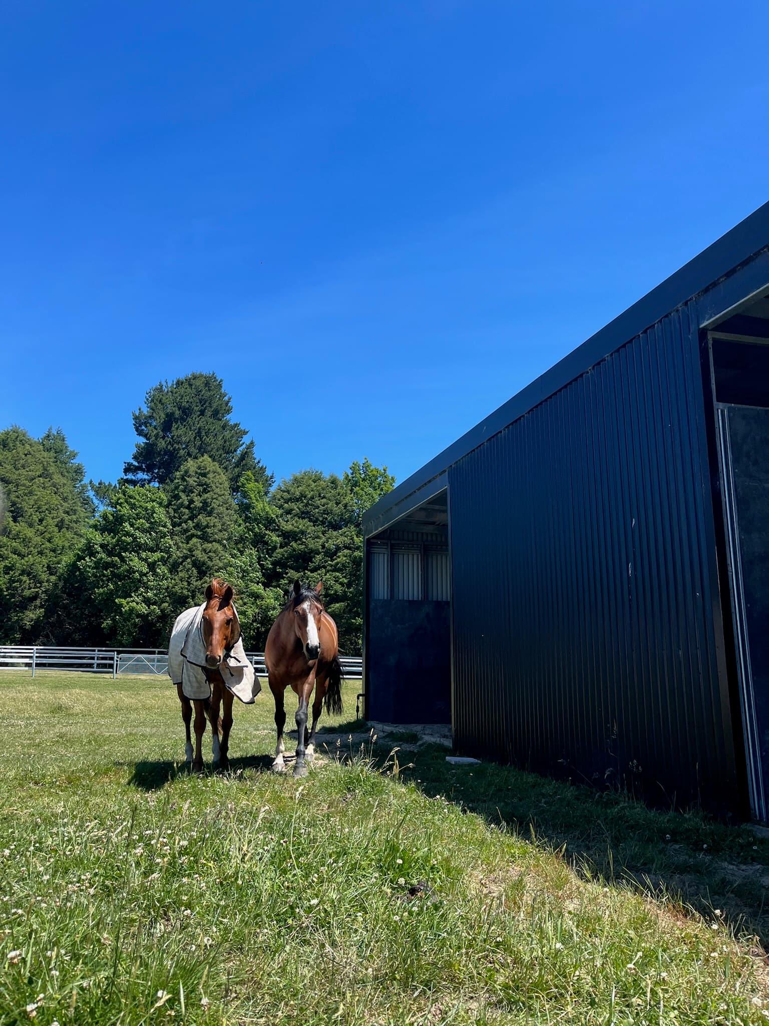 Thumbnail 2 of Heartland Horse Farm