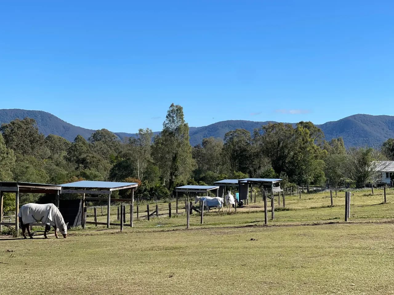 Thumbnail 3 of Copperfields Stables and Agistment