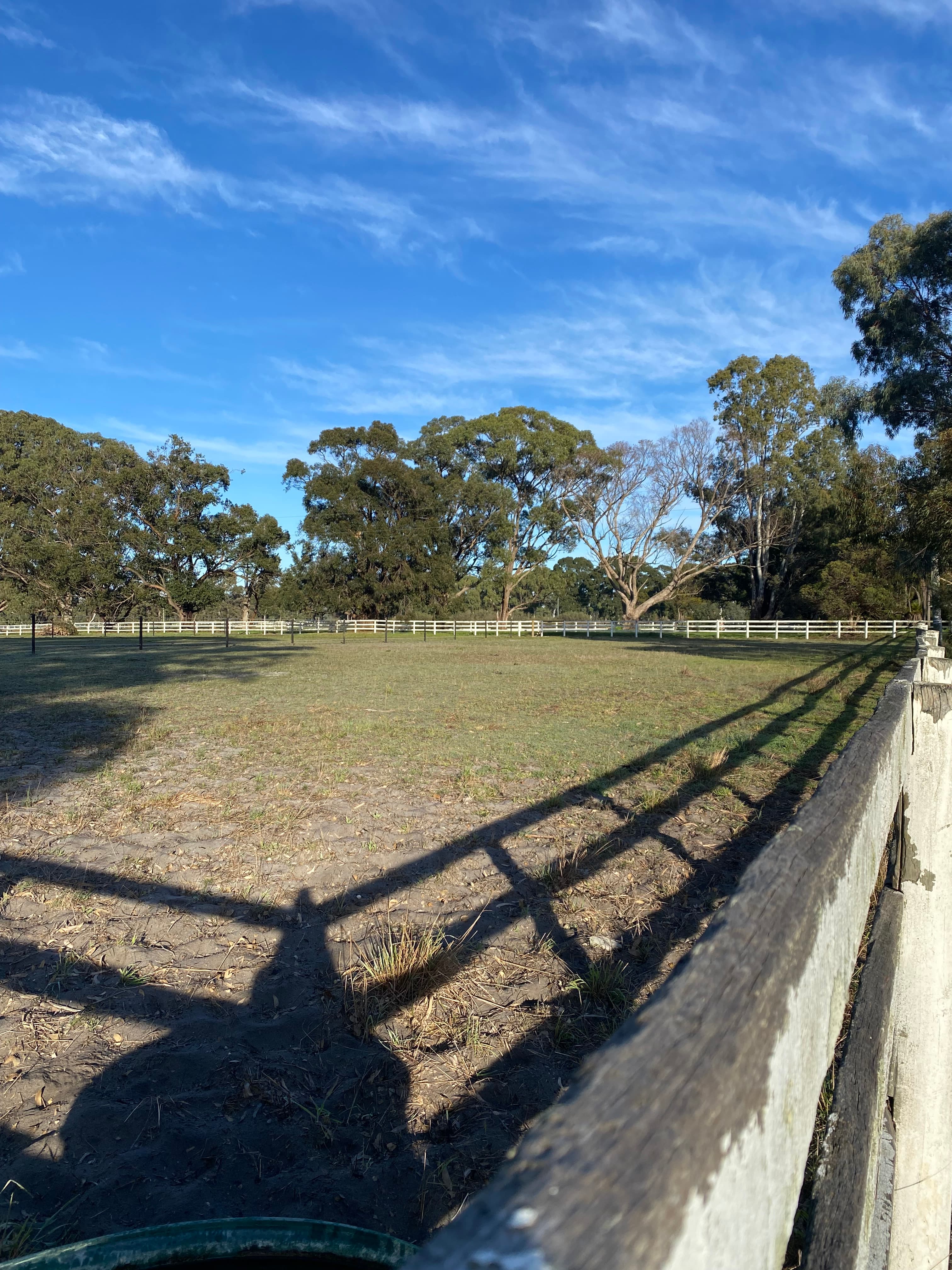 Thumbnail 2 of Taworri Downs