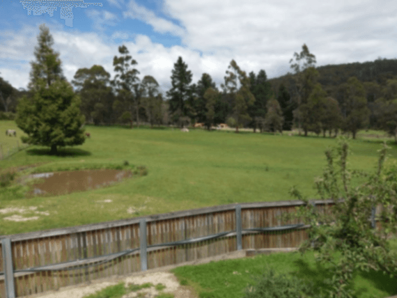 Photo of Plumb’s Place