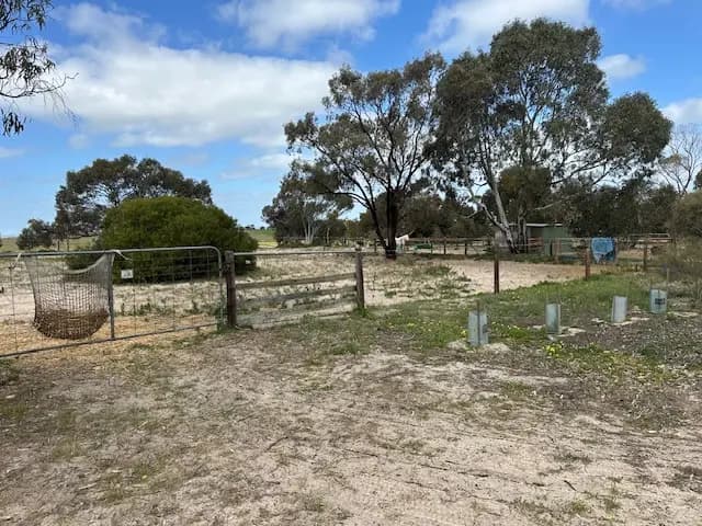 Thumbnail 4 of "Pillinda Palms" aka Veloce Endurance Stables agistment for travellers