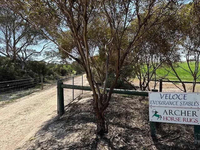 Photo of "Pillinda Palms" aka Veloce Endurance Stables agistment for travellers