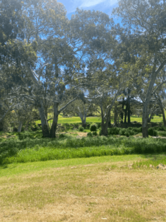 Thumbnail 4 of Home among the gumtrees