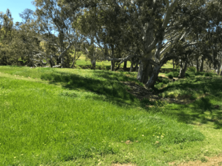 Thumbnail 2 of Home among the gumtrees