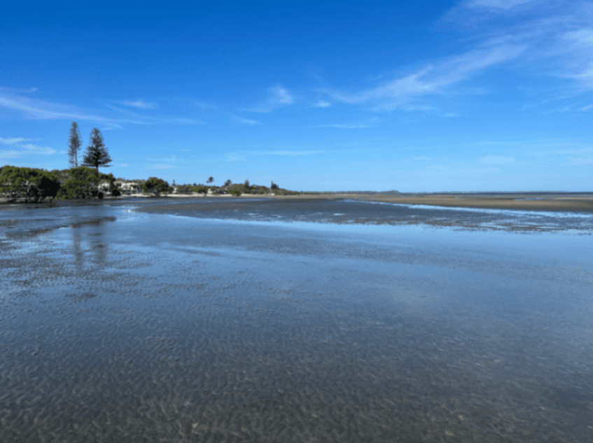 Thumbnail 4 of Beachmere Paddock