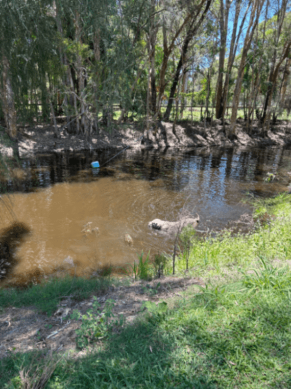 Thumbnail 3 of Beachmere Paddock