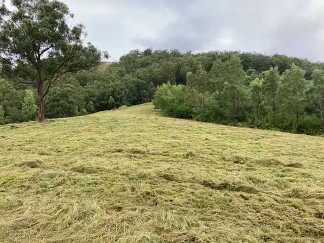 Thumbnail 5 of Cattle Agistment - Wherrol Flat