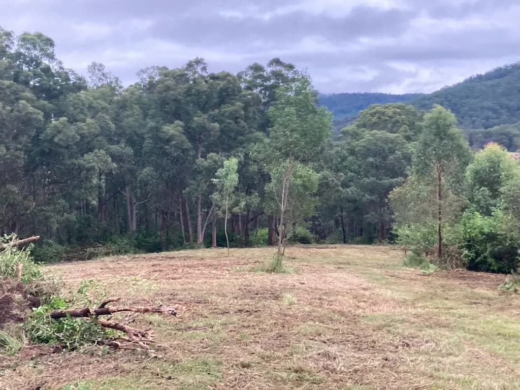 Photo of Cattle Agistment - Wherrol Flat