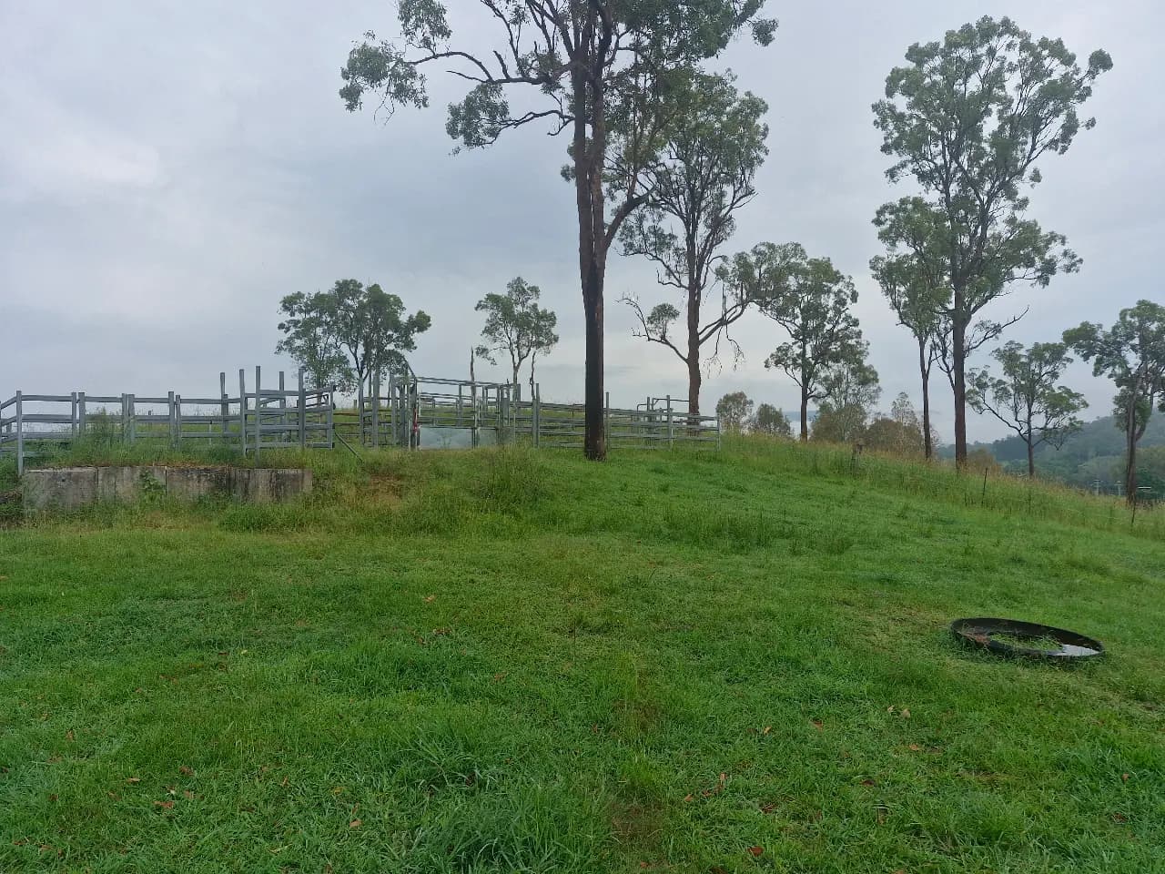 Thumbnail 4 of Mango Hill