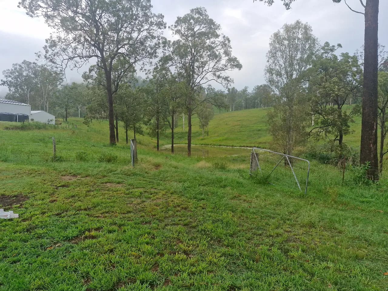 Thumbnail 6 of Mango Hill