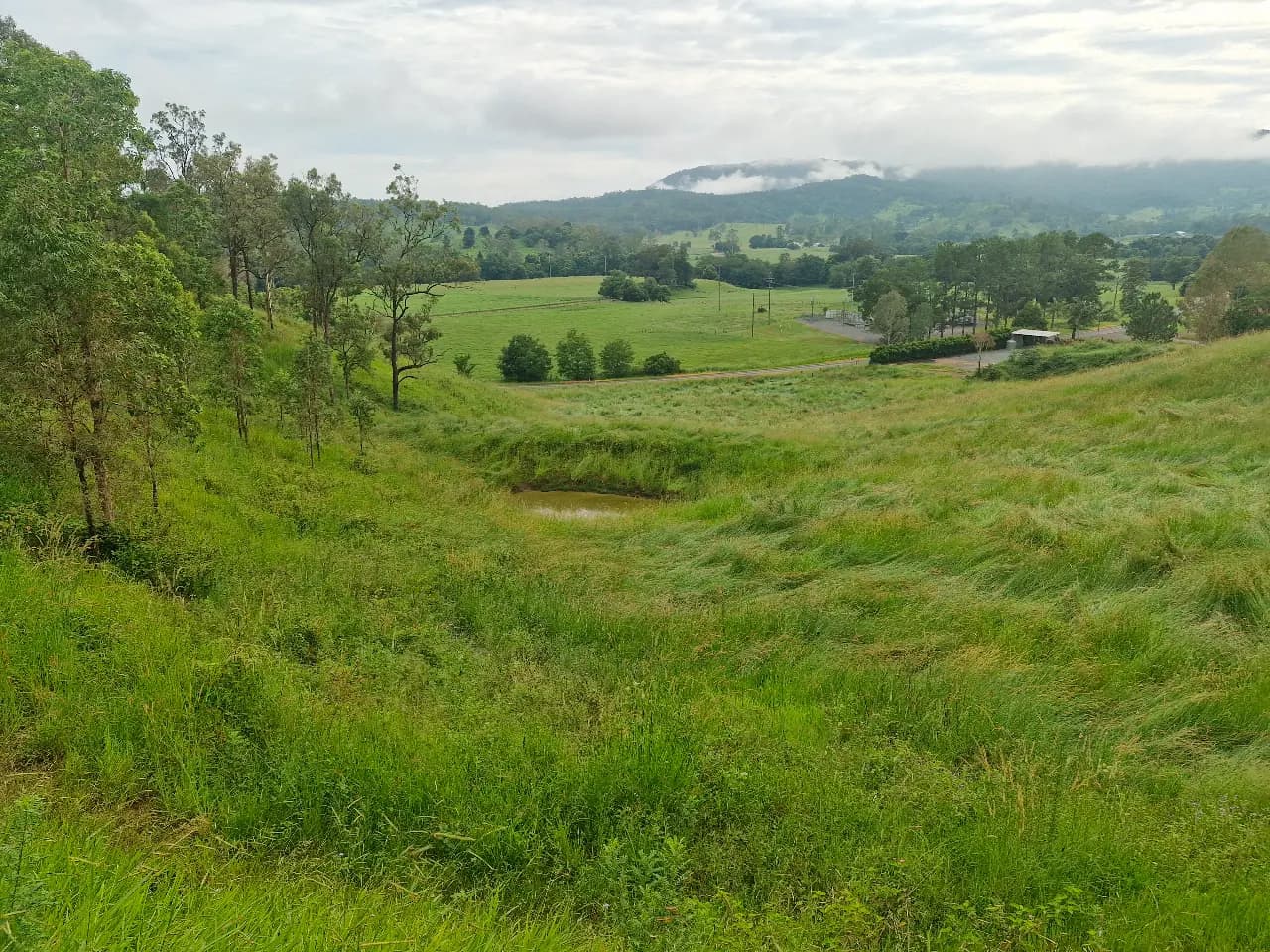 Photo of Mango Hill