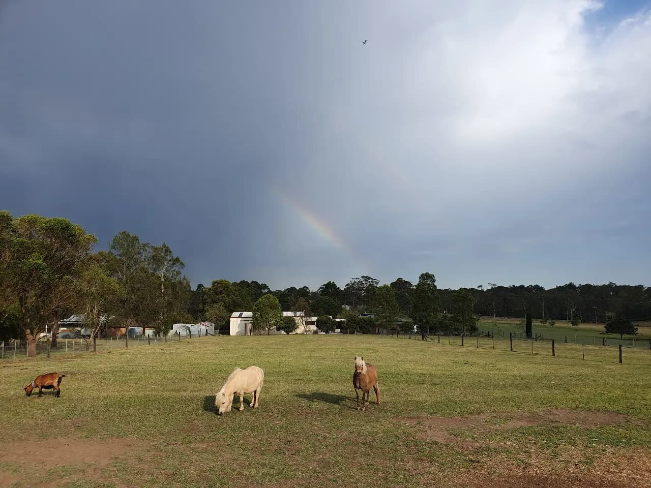 Photo of Short term Neigh plus accomodation
