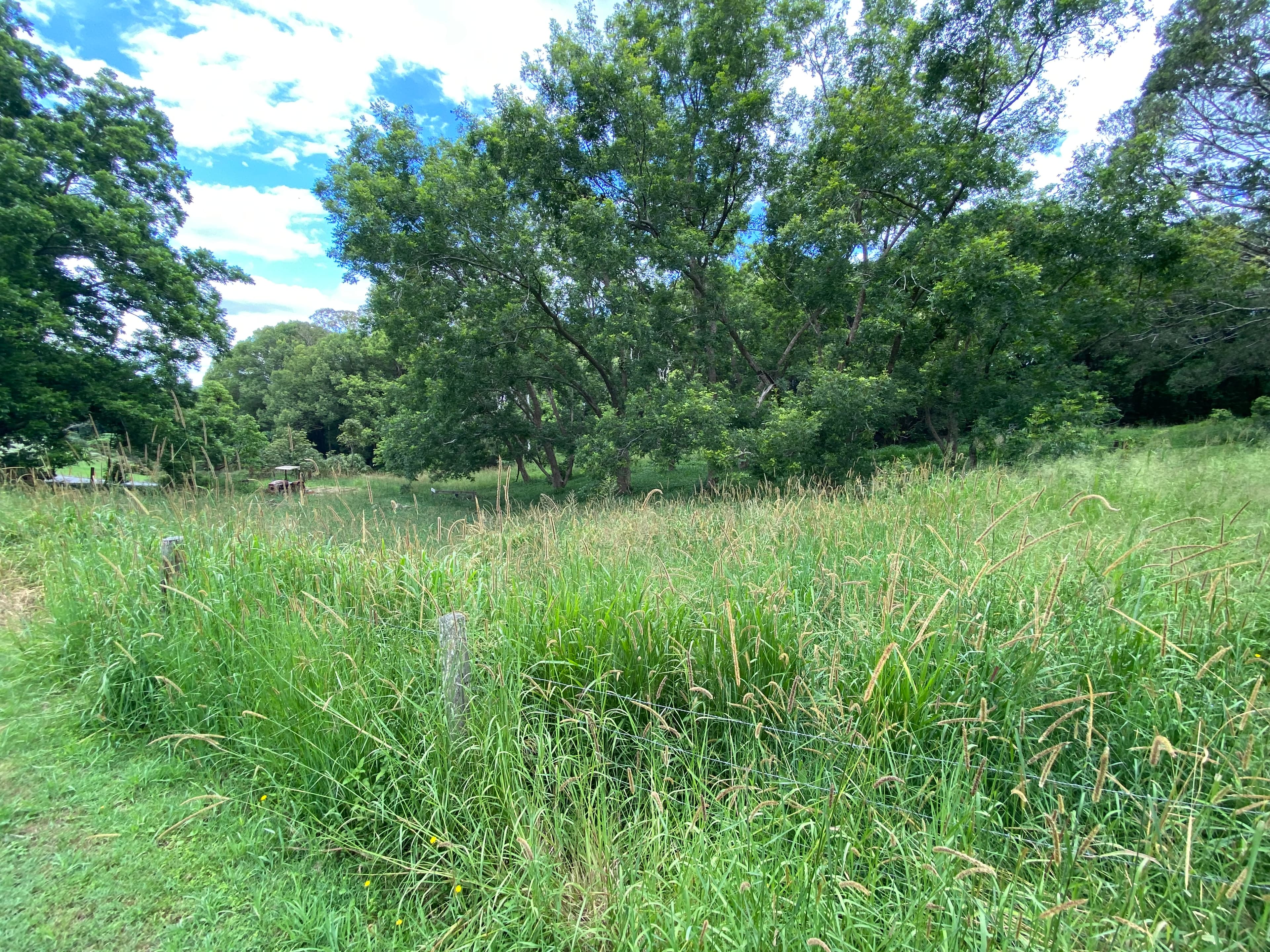 Photo of Acre property