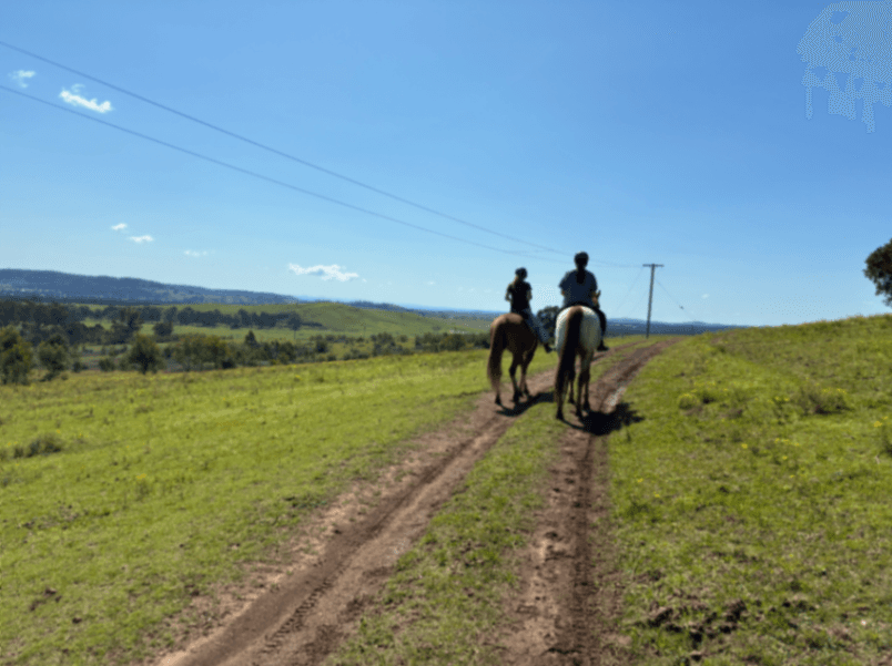 Photo of Mt Britian Horse Agistment