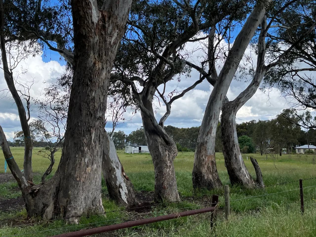 Photo of Art Land