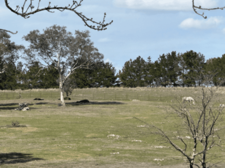 Thumbnail 2 of Stanley Vale Horse Agistment