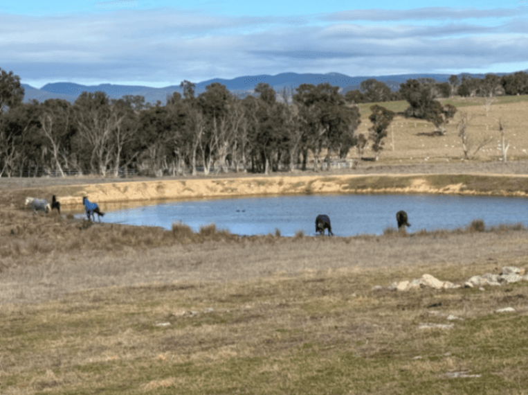 Thumbnail 3 of Stanley Vale Horse Agistment
