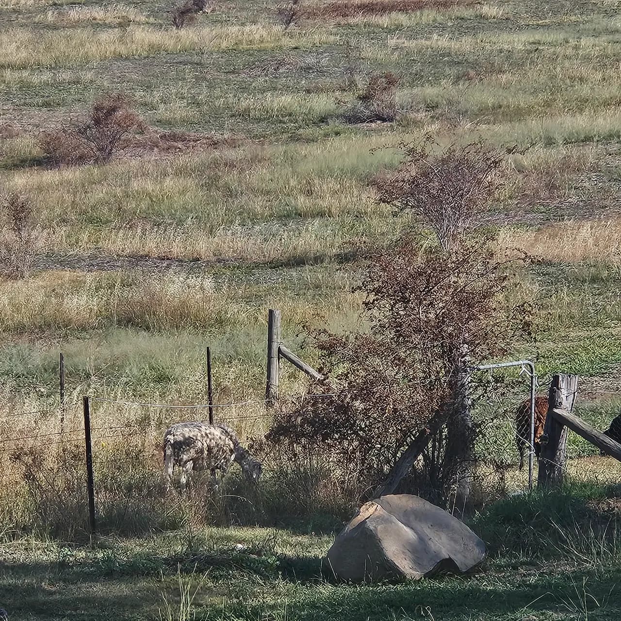 Photo of Land smart