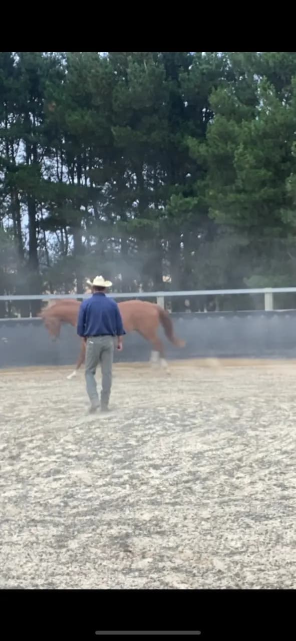 Thumbnail 5 of Agistment Training Camping