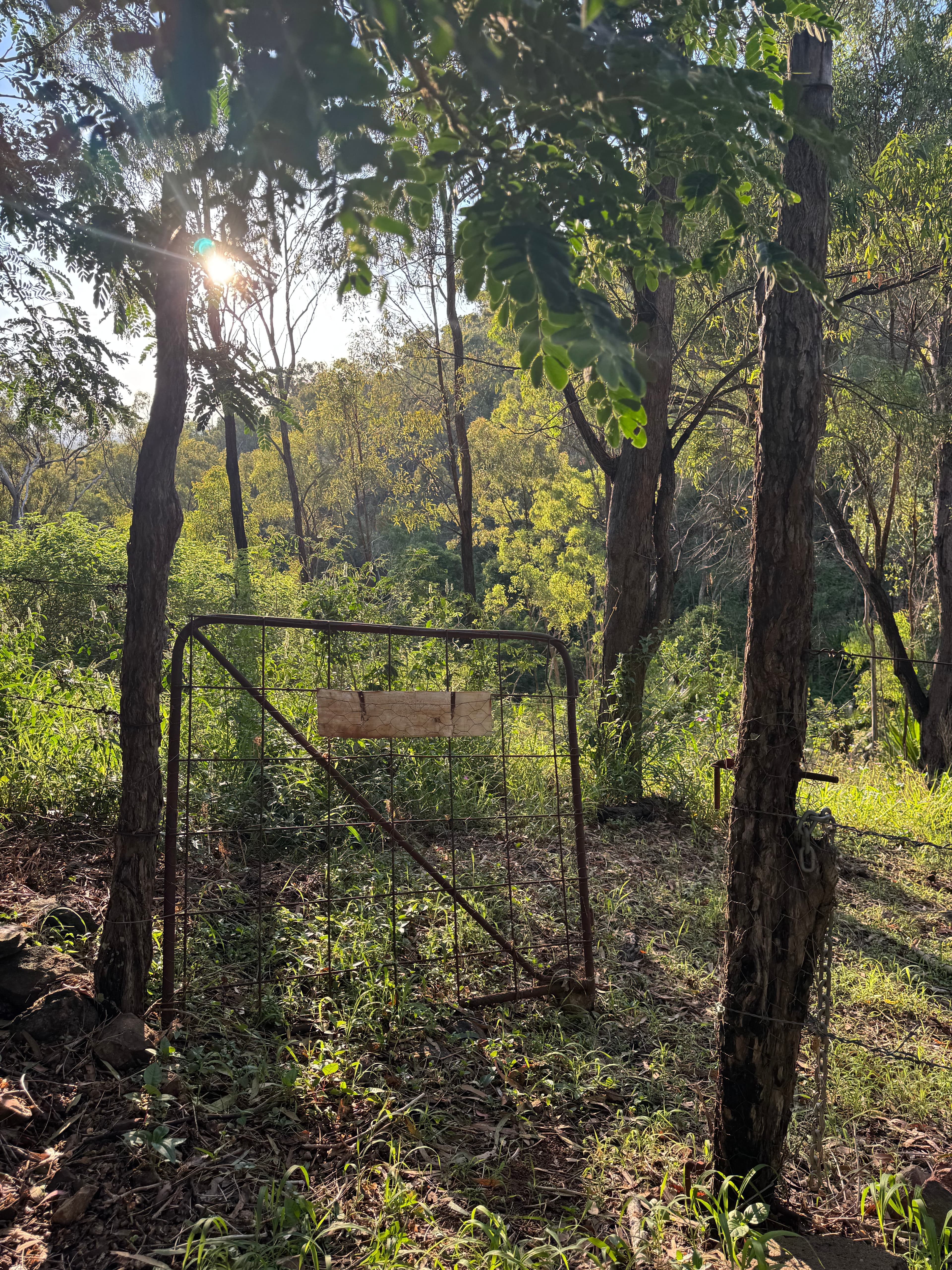 Photo of Hillside Homestead Horse Adjistment