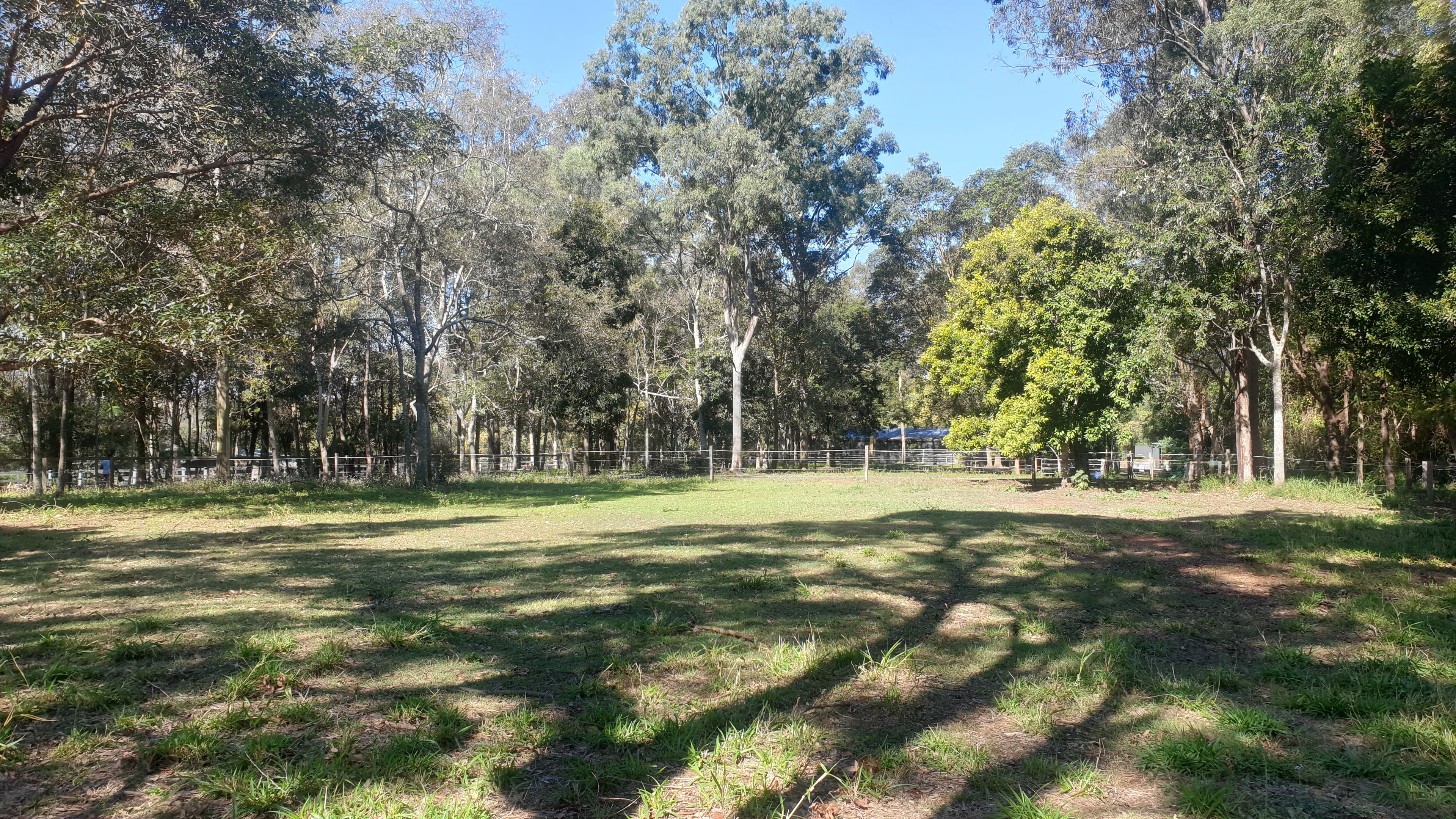Photo of Priors Pocket Road Agistment
