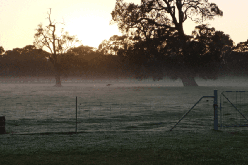 Thumbnail 4 of The Hay Feilds